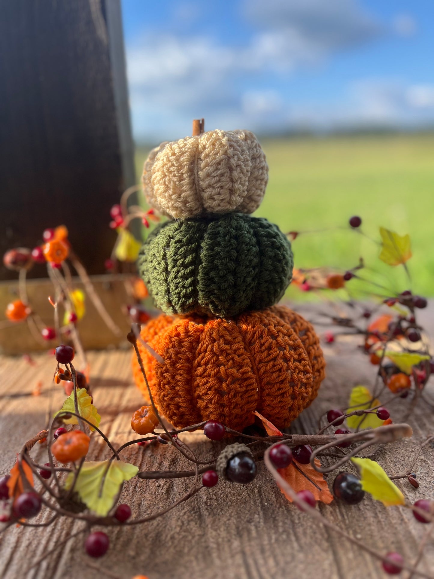 Fall Pumpkin Set