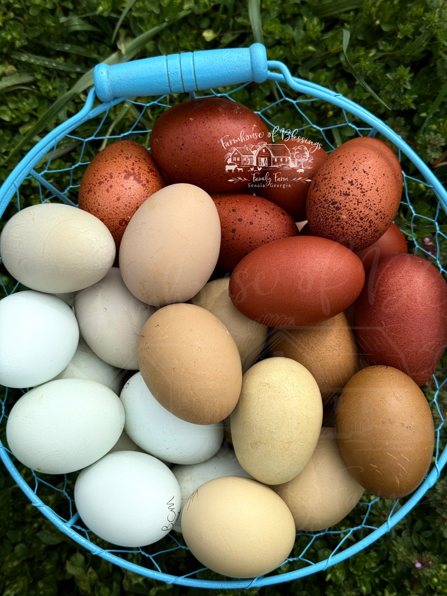 Spring Rainbow Eggers Starter Basket