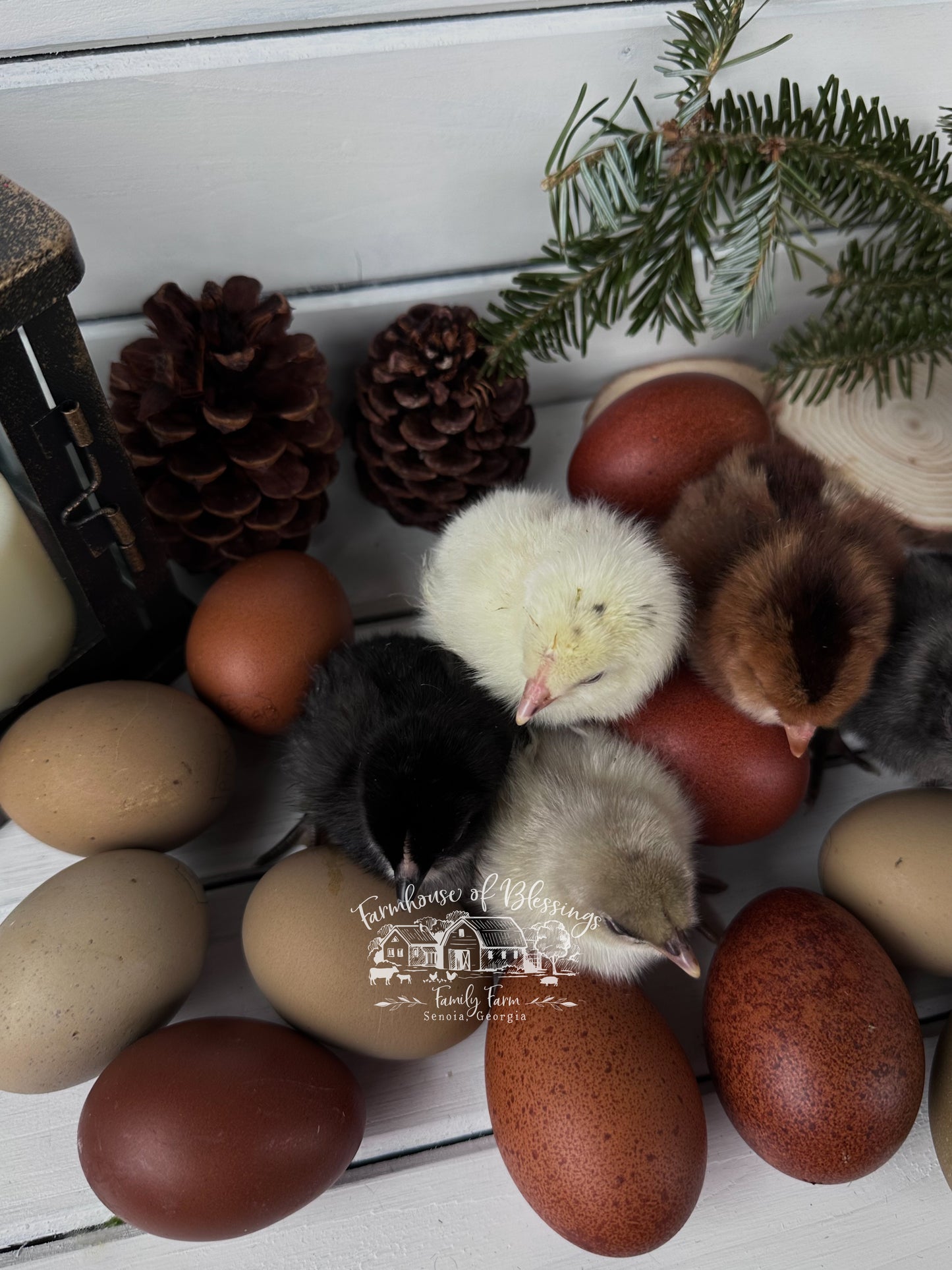 Fall Rustic Eggers Starter Basket
