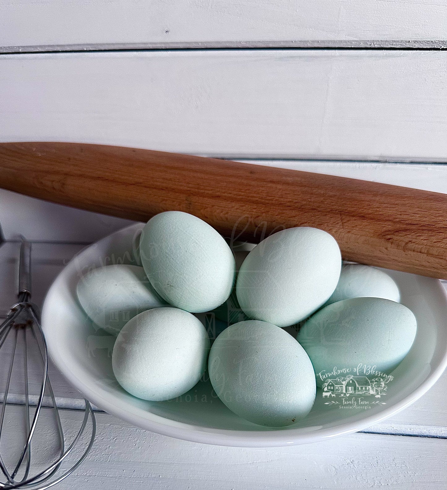 Whiting True Blue - Hatching Eggs - 1/2 dozen