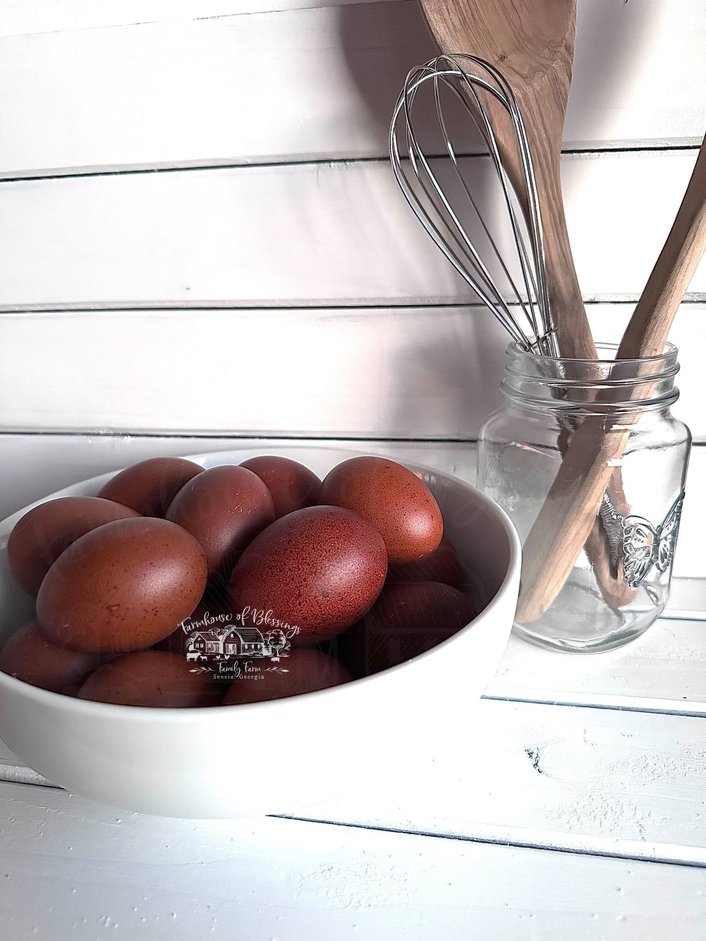 Black Copper Marans- Hatching Eggs - 1/2 dozen