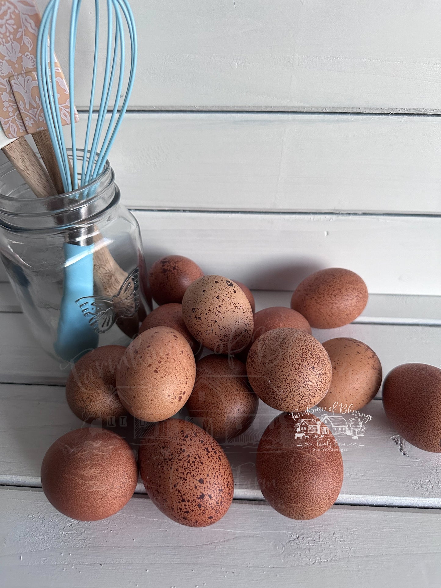 Welsummers - Hatching Egg - 1/2 dozen