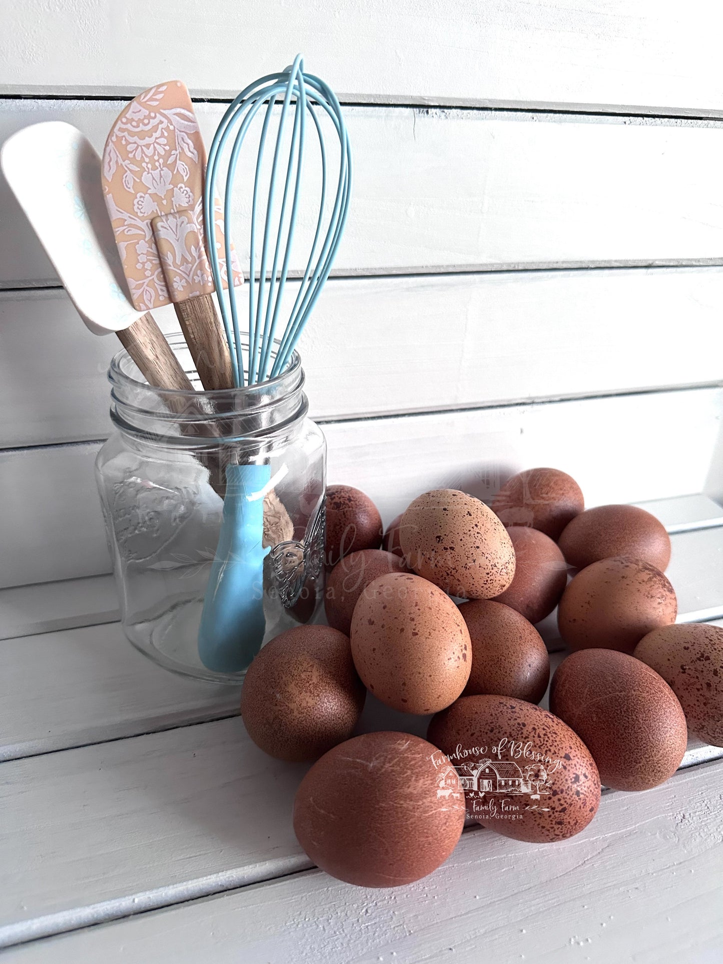 Welsummers - Hatching Egg - 1/2 dozen