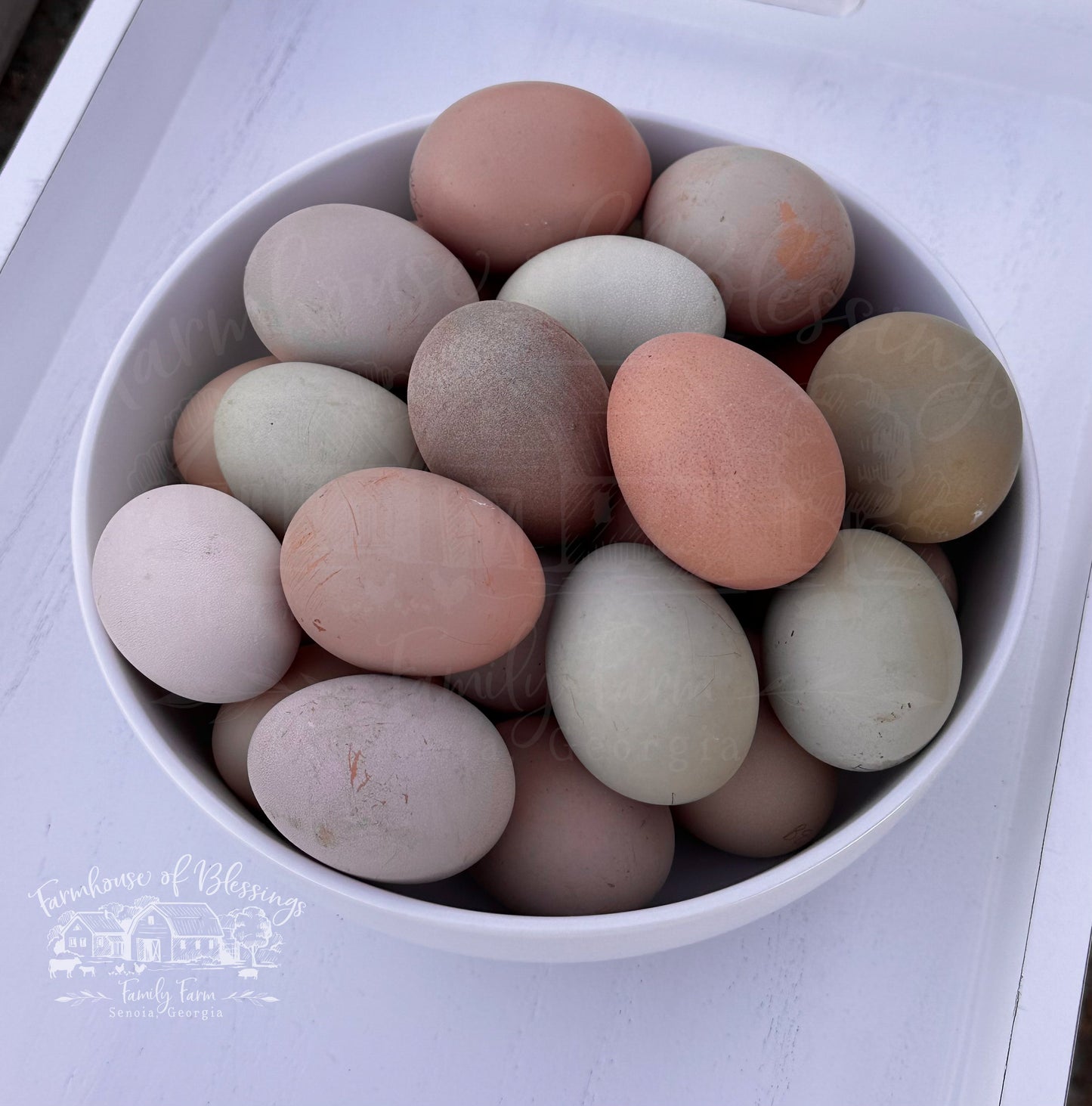 Frosted Bloomers - Hatching Eggs - 1/2 dozen