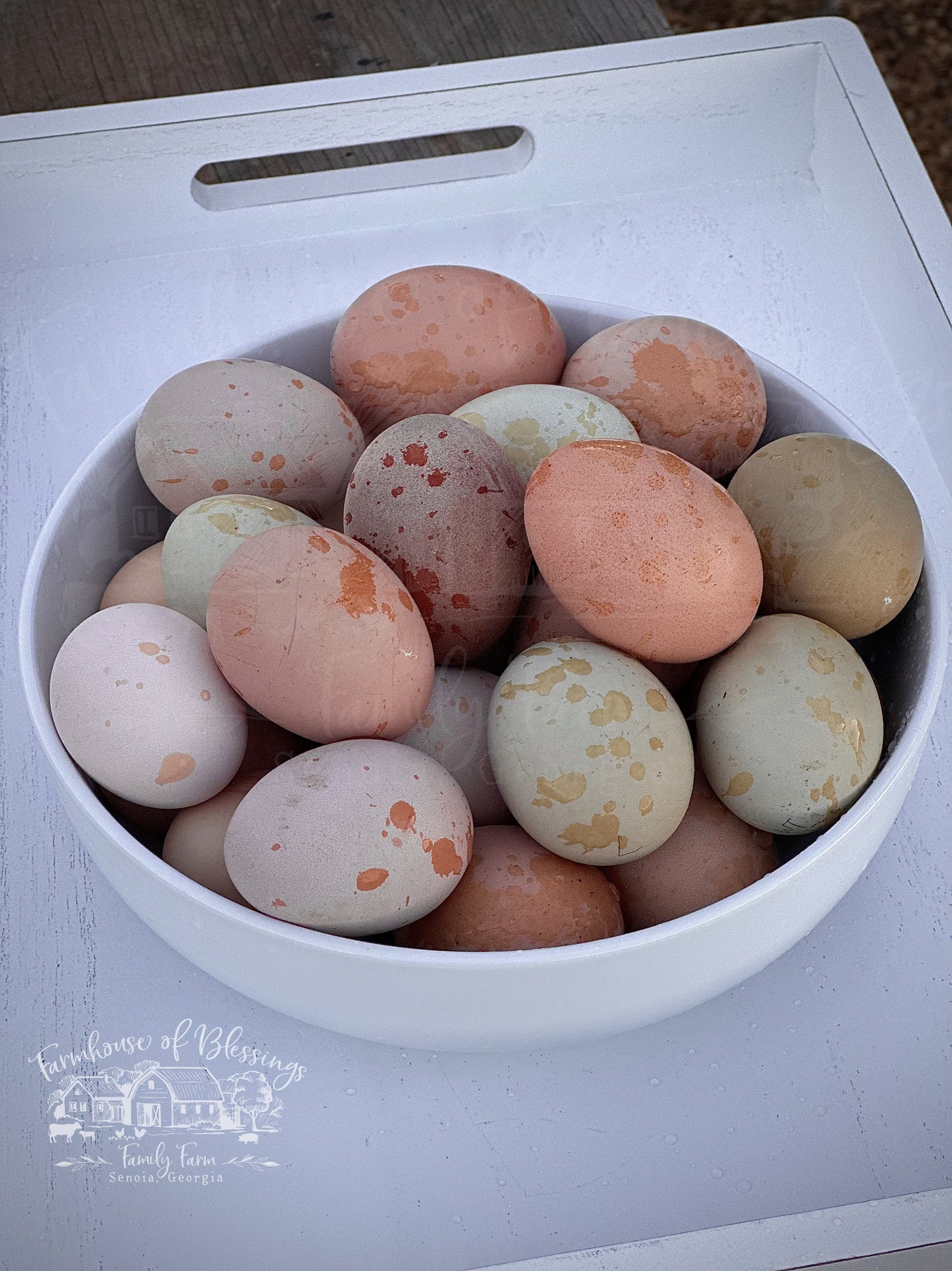 Heavy Bloom - Frosted Bloomers- Blush and Dusty Rose Eggers - Day Old Chicks
