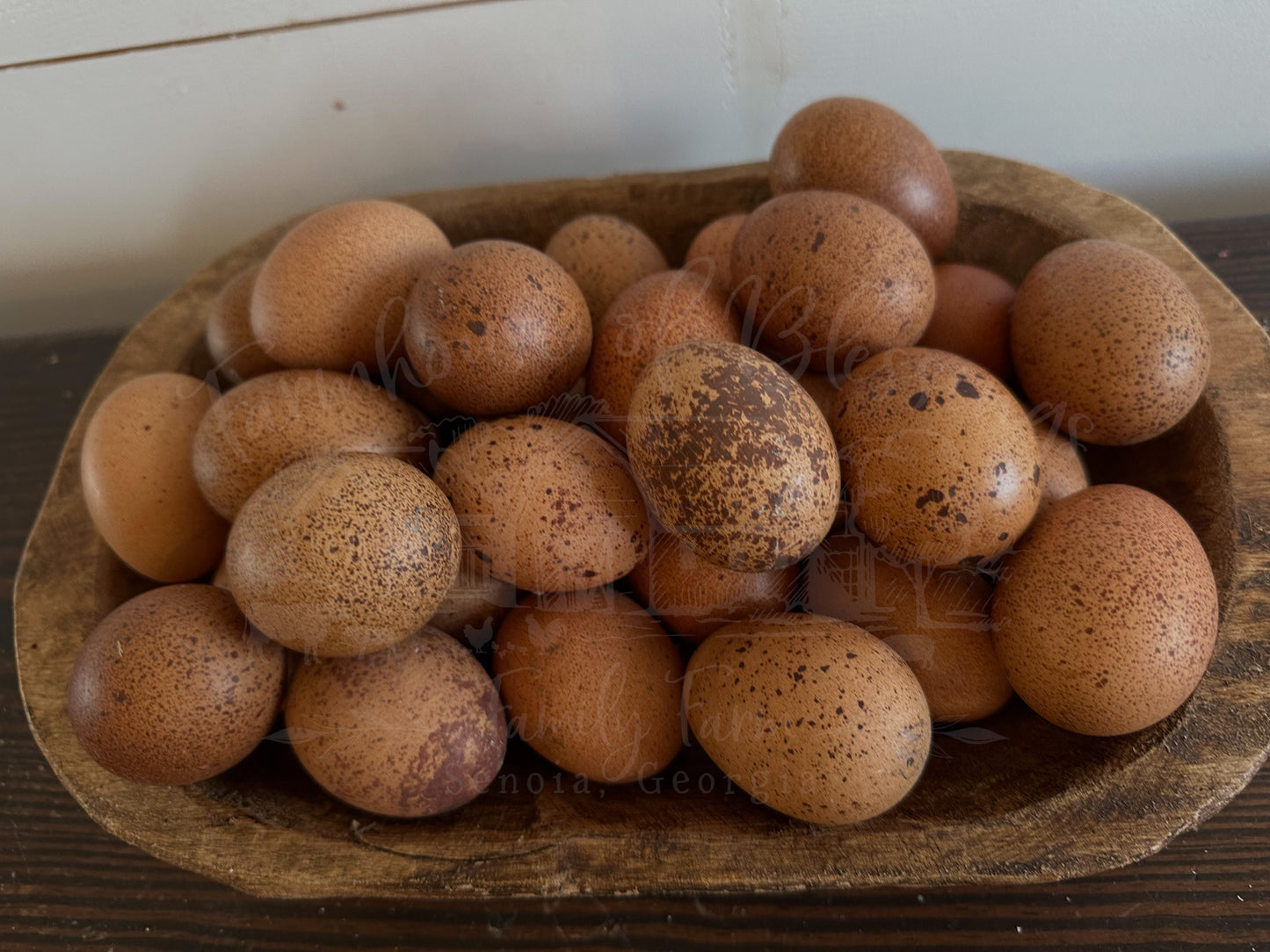 Welsummers - Hatching Egg - 1/2 dozen
