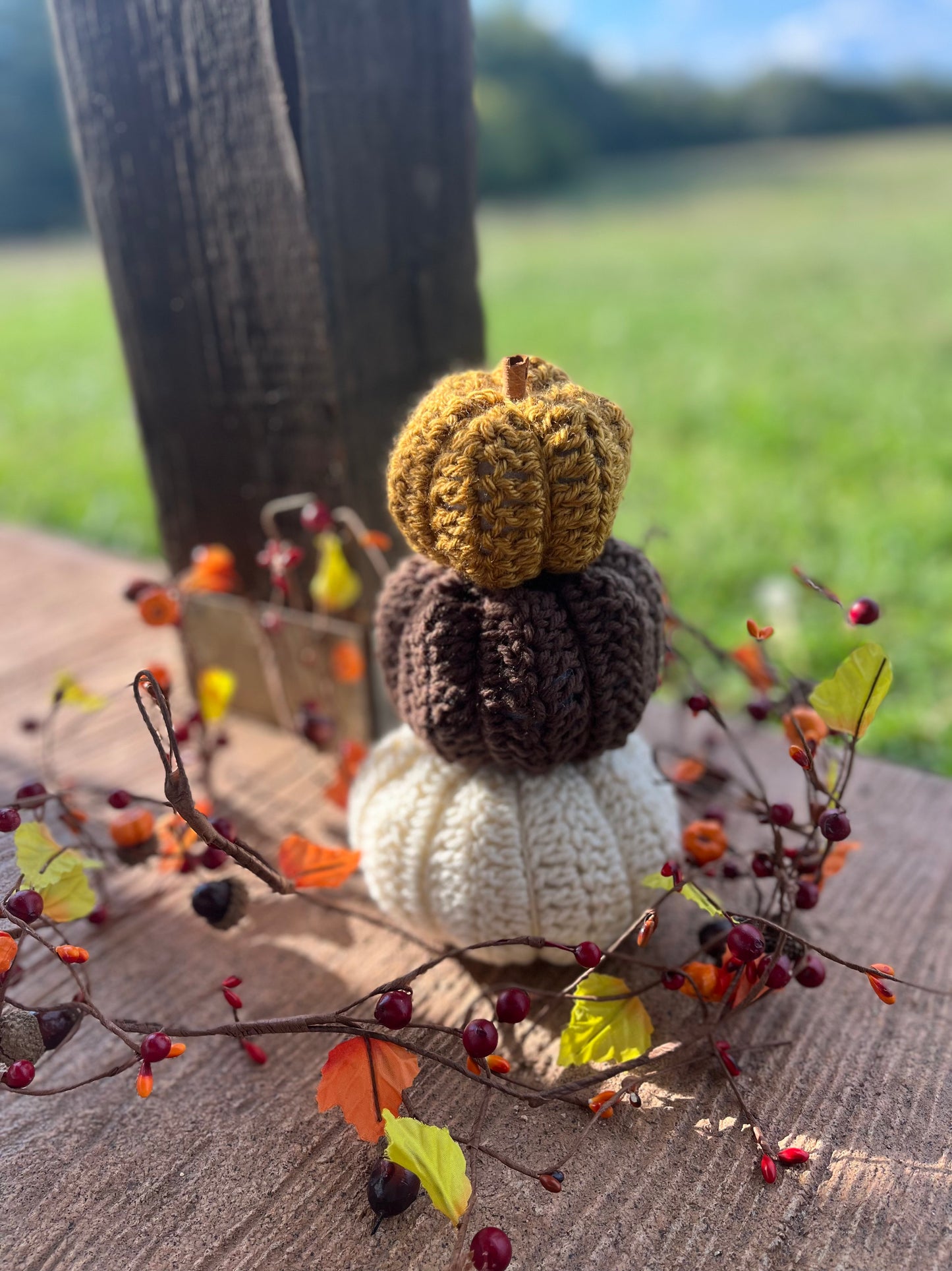 Fall Pumpkin Set
