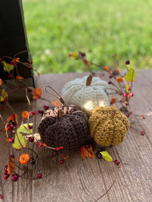 Fall Pumpkin Set