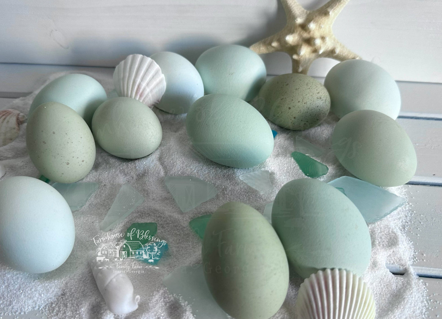 Coastal Blues  - Hatching Eggs