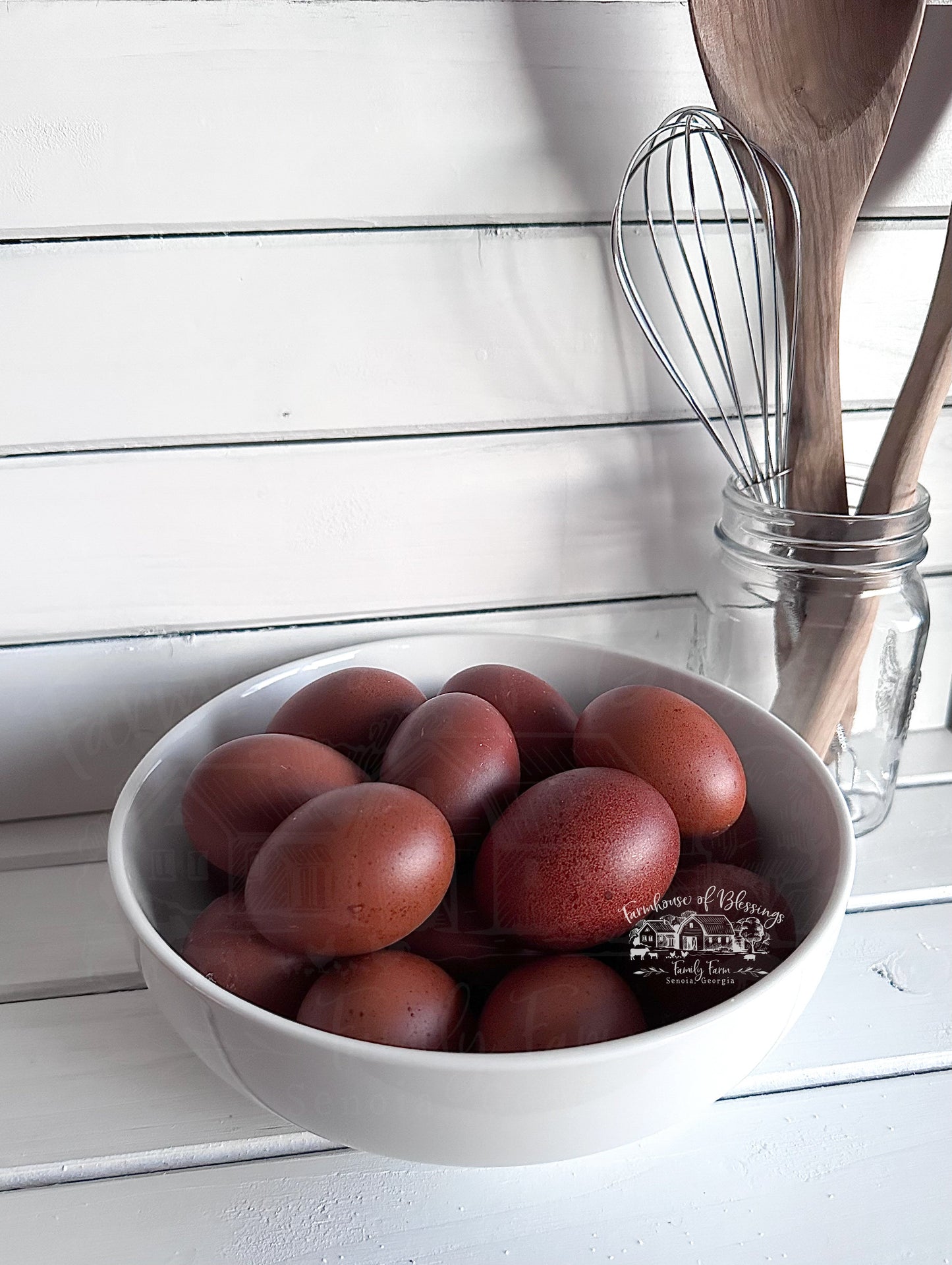 Black Copper Marans- Hatching Eggs