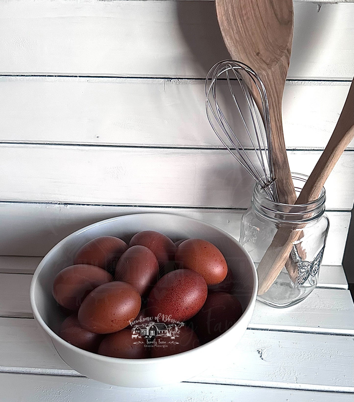 Black Copper Marans- Hatching Eggs