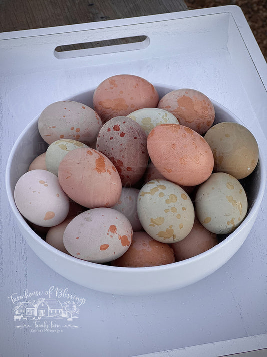 Frosted Bloomers - Hatching Eggs