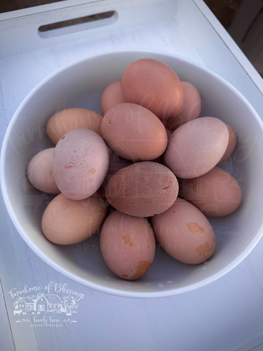 Frosted Bloomers - Blush and Dusty Rose Eggers - Hatching Eggs